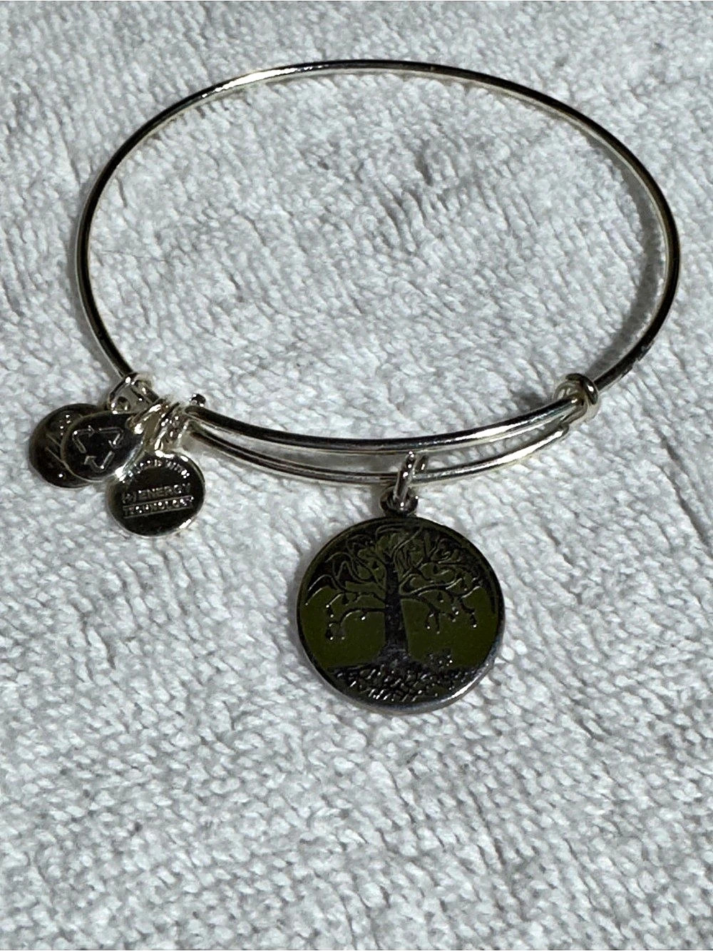 Alex and Ani Tree of Life Charm Bangle in Silver & Black